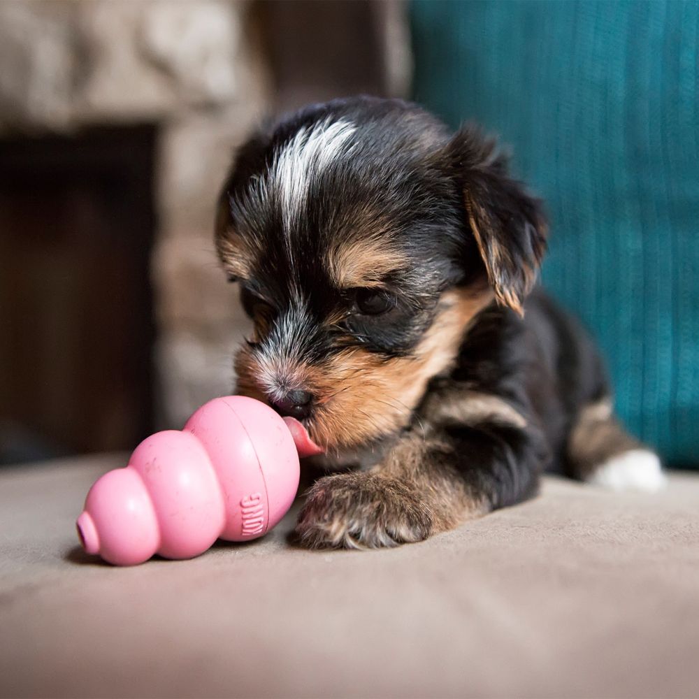 KONG - Puppy Small