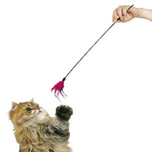 FALMINGO - Baton de Plumes