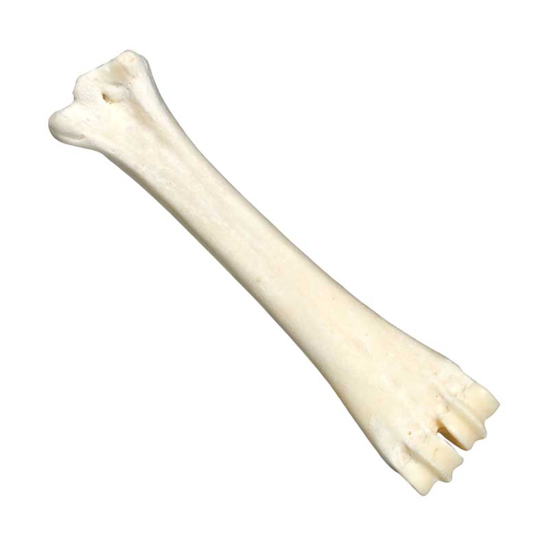 BUBIMEX - Os de Calcium