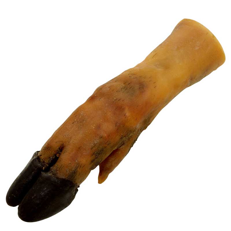 BUBIMEX - Pied de porc