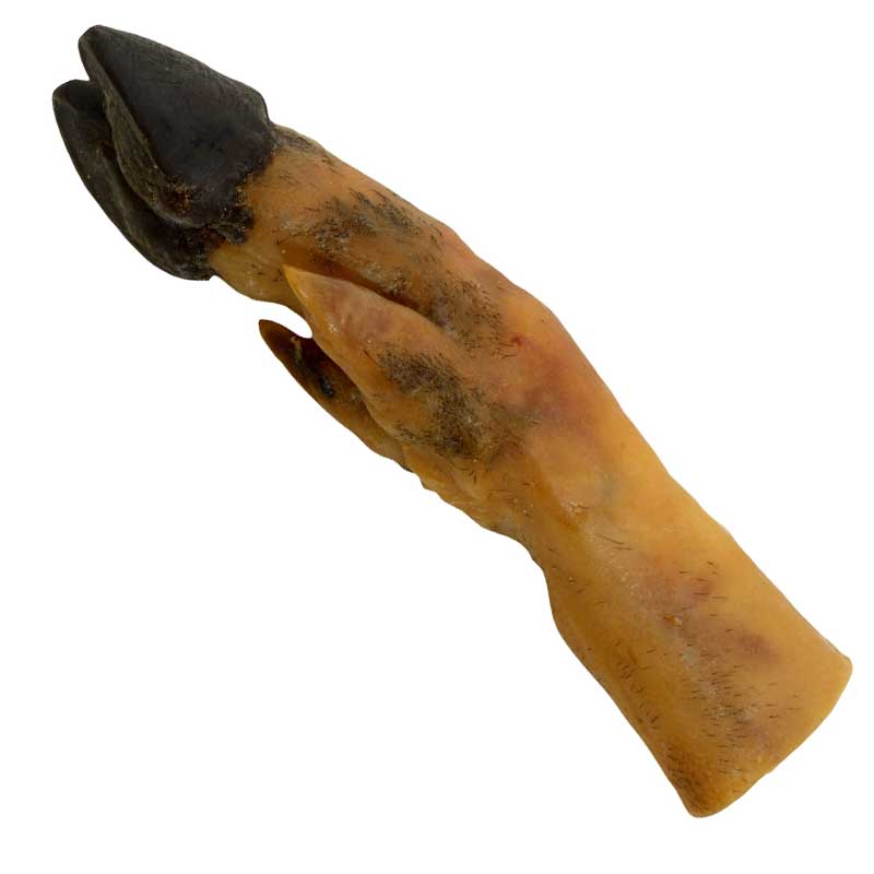 BUBIMEX - Pied de porc