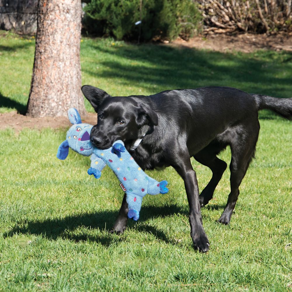 KONG - Low Stuff Speackles Pig