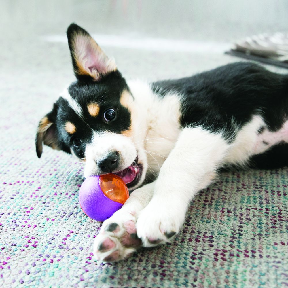 KONG - Squeezz Action Ball (M)