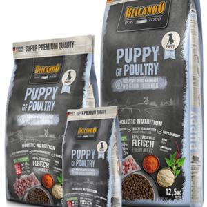 Puppy GF Poultry