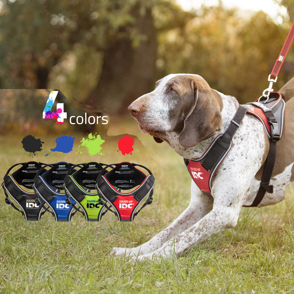 JULIUS K9 - IDC Longwalk taille S