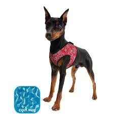 Harnais Aquacool - Aquacoolkeeper