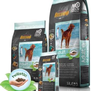 Adult GF Ocean - Belcando