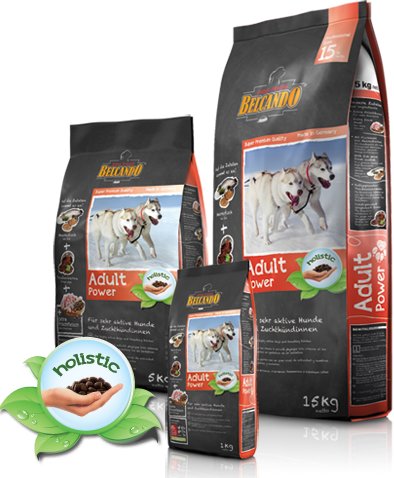 Adult Power - Belcando